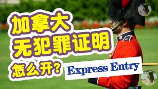 ExpressEntry加拿大无犯罪记录证明怎么办理？1分21开始看申请。up住自己就是这样办理的