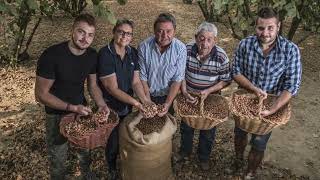 Cuor di Nocciola delle Langhe