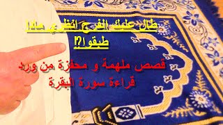 قصص و معجزات سورة البقرة🚀 تحقيق الامنيات 8/قصص حقيقية🚀سوالف🎁شفاء💍زواج تحقيق امنيات💘فك تعلق.بادن الله