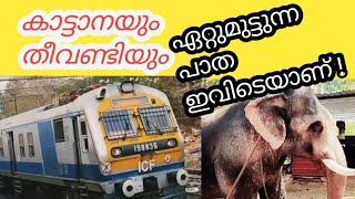 തീവണ്ടി തട്ടി ചരിയുന്ന കാട്ടാനകൾ train crash elephant ...