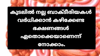 കുടലിൽ നല്ല ബാക്ടീരിയകൾ വർധിക്കാൻ കഴിക്കേണ്ട ഭക്ഷണങ്ങൾ ഏതൊക്കെയാണെന്ന് നോക്കാം #jamsheedp #bacteria