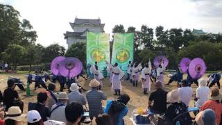 HSU龍馬隊　にっぽんど真ん中祭り 2019