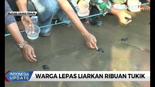 Warga Blitar Lepas Liarkan Ribuan Tukik