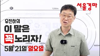 유진하의 이 말은 꼭 노리자!(2023년 5월 21일 일요일)