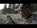 using onx hunt to kill a public land bull elk