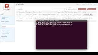 Openstack API - Launch an Instance