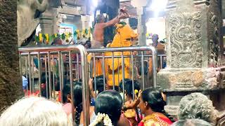 💥சனி பிரதோஷம் | நந்தீஸ்வரர் அபிஷேகம் |#sankarankovil @ramyavanisvlog