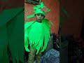 Elocution competition theme parrot