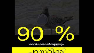 നിങ്ങൾ വലിച്ചെറിയുന്ന പ്ലാസ്റ്റിക് എവിടെപ്പോകുന്നു