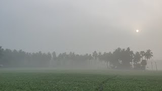 Pleasent early morning ride through villages near palakollu. #westgodavari #palakollu