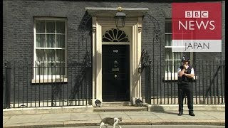 英首相官邸の猫ラリーは残留