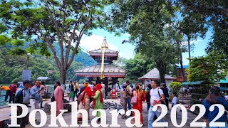 strolling around Pokhara 2022||Kathko Gurraa||Trishna Gurung||Travel vlog