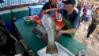 大帶魚 大竹梭 大自由 巨大黃鰭鮪魚! How amazing much Hairtail and fat barra cuda! 光榮定置漁場, #freshseafood #fishing