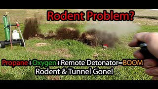 Rodent Blaster HS-1 Remote Gets The Job Done!  10 Seconds And 10 cents Per Hole....