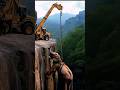 Rescue of Elephant from unsafe location #Giraffe #Elephant #rescue