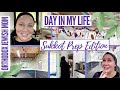 Orthodox Jew Prepares for SUKKOT | Day in my Life DITL | Orthodox Jewish Mom (Jar of Fireflies)