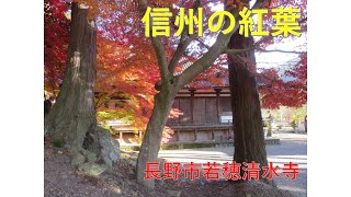 【信州ひとり旅】　紅葉の名所　清水寺　長野市若穂