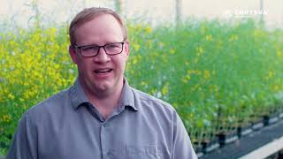 Corteva - Clubroot Q&A Video | Corteva Agriscience Canada