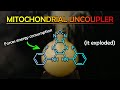 Making an Experimental Fat Burner (BAM15)