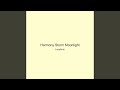 Harmony Storm Moonlight
