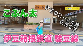 伊豆箱根鉄道に乗ってみた！伊豆のローカル線いずっぱこ駿豆線往復の旅 ラブライブ！サンシャイン！！ラッピング電車「Over the Rainbow 号」に乗ったよ