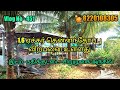 #451-1.6 Acre Coconut farm land for sale/ Near Pathikuttai /8220108305