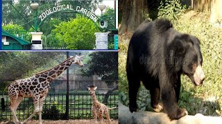 Zoological park | Alipore zoo | Alipore Zoo 2025