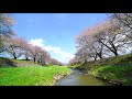 kurosawa river nagano prefecture relaxing time