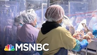 A Rare Look Inside A Tyson Meat Plant In Arkansas | MSNBC