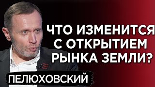 Украине нужна жесткая диктатура: дискуссия с соратником Кирпы