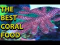 The Best All Around Coral Food