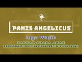 PANIS ANGELICUS, PESPARANI Katolik Nasional III Tahun 2023 | Lagu Wajib Kategori PADUAN SUARA ANAK