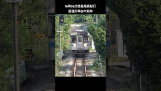 【今や上下6便のみ😳】徳島•香川の県境を越える貴重な普通列車（JR四国1000形気動車）