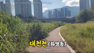 #구포동낙동대로- #화명생태공원(낙동강자전거길)-대천천-북구보건소