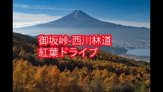 富士山から富士山へ、御坂峠から西川林道紅葉ドライブ