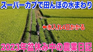 【農業日記】盆休み中に田んぼの水入れ完了しました  30代米作り奮闘記#267