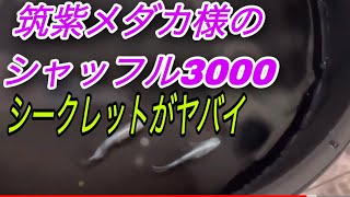 筑紫めだか様のシークレットメダカがやば過ぎる！シャッフル3000