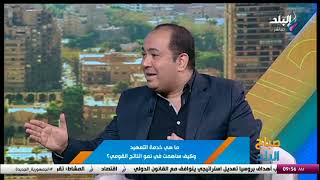 «البرمجة والتكنولوجيا».. كيف ستساهم في نمو الاقتصاد المصري؟