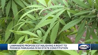 Lawmakers propose establishing right to possess marijuana in New Hampshire Constitution
