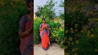 కొంచెం సరదాగా బయట #shortvideo