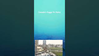 🍁கனடாவில் குளிர் பனி#rimikasdiary#shortsfeed#shorts#shortsvideo#shortsviral#canada#climatechange#fog