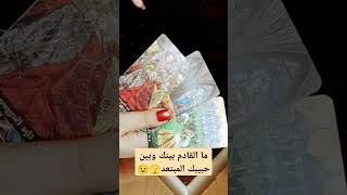 ما القادم بينك وبين حبيبك المبتعد🫣😉 #tarot #تاروت #قراءة #توقعات #اكسبلور #الابراج #روحانيه #تهكير