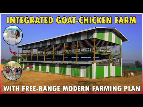 Integrated barn for goat and poultry farming | Simple integrated free range goat and chicken farm