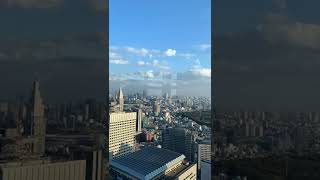 Free Observation Decks in Tokyo : “Tokyo Metropolitan Government Building”