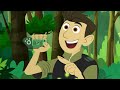 let s learn about colors roy g biv the colorful poison frog wild kratts