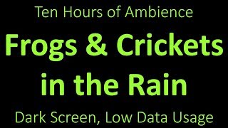 Frogs and Crickets in the Rain - Ambient Sound - 10 Hours - Black Screen