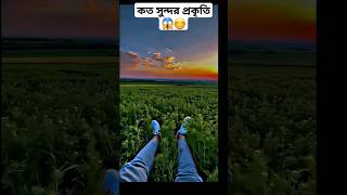 অনেক সুন্দর প্রকৃতি 😱😱  I want to get lost in this environment😊😊😊৷ #youtube #shortvideo