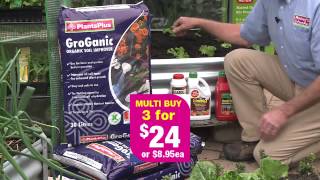 Early Spring Catalogue TV 2013