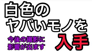 白いヤバい物を入手しました