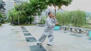 Traditional Yang shi Tai Chi 85 forms